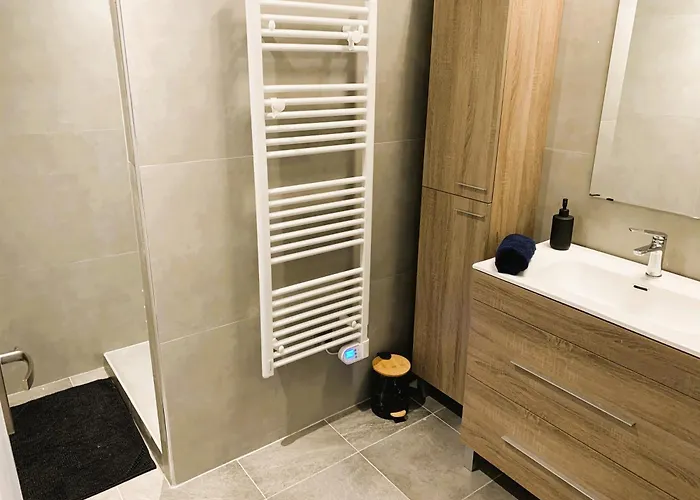 Le Du Plessis A 25 Mn Du Mont Saint-michel * Montanel